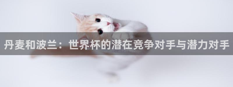 2026世界杯预选赛:丹麦和波兰:世界杯的潜在竞争对手与潜力对手