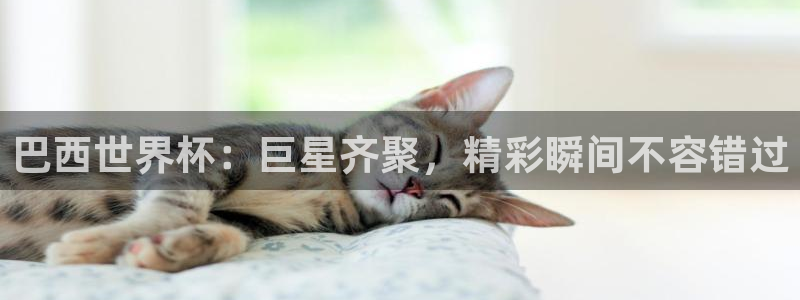 2026世界杯买球:巴西世界杯:巨星齐聚,精彩瞬间不容错过