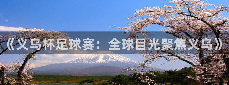 2026世界杯中国队:《义乌杯足球赛:全球目光聚焦义乌》