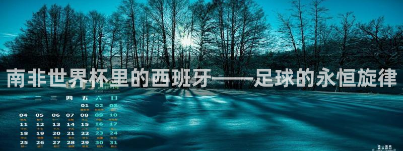 世界杯欧洲区预选赛:南非世界杯里的西班牙——足球的永恒旋律