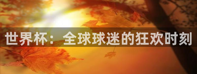 2026年男足世界杯:世界杯:全球球迷的狂欢时刻