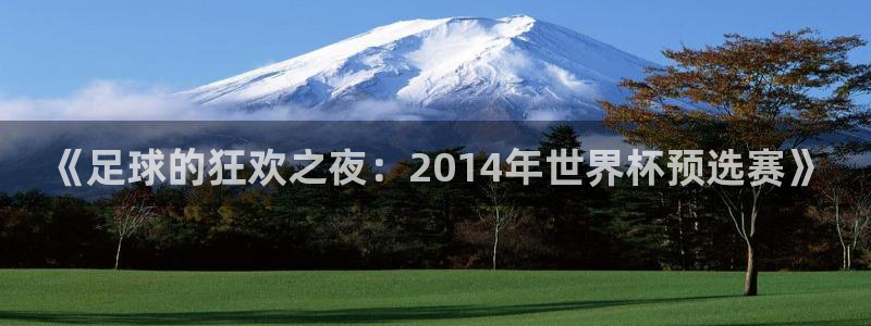 世界杯在线直播:《足球的狂欢之夜:2014年世界杯预选赛》