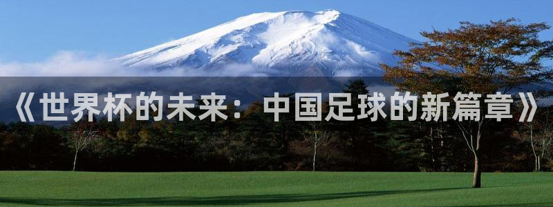 世界杯赛程表2026:《世界杯的未来:中国足球的新篇章》