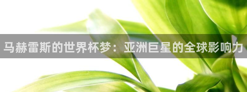 2026世界杯南美区积分榜:马赫雷斯的世界杯梦:亚洲巨星的全球影响力